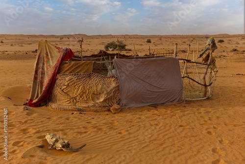 West Africa, Mauritania. Light primitive buildings of local residents roaming the Sahara Desert. photo