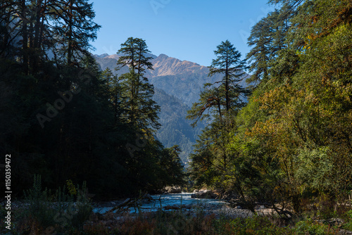 Trekking in Nepal Lama Hotel To Langtang Village in Rasuwa of Nepal with Himalayas trek route photo