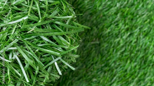 A close up of a pile of green grass