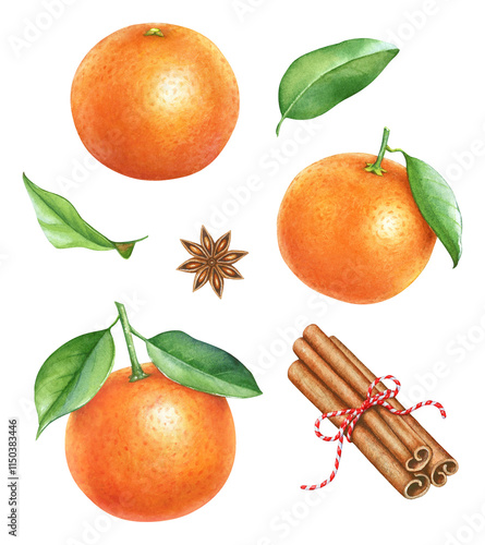 Obraz na plátně Watercolor illustration of three mandarine fruits with leaves, cinnamon sticks and anise seeds