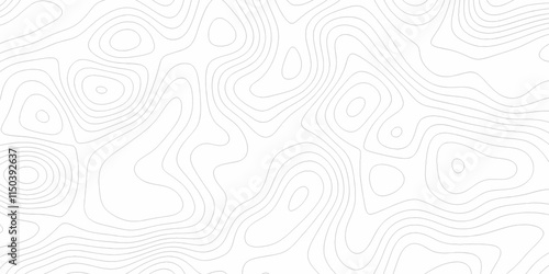 White topography topology vector white background fresh contour map texture. white seamless pattern Abstract background with a wave Topography and geography map grid abstract backdrop.