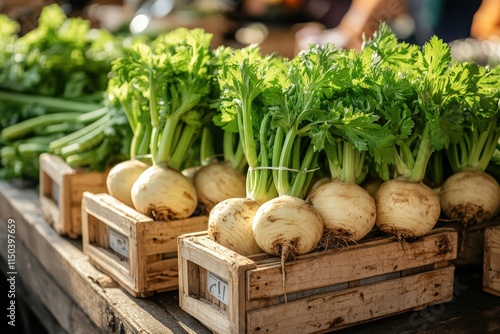 Obraz na płótnie farmer's market scene featuring freshly harvested celery roots with lush green tops w salonie