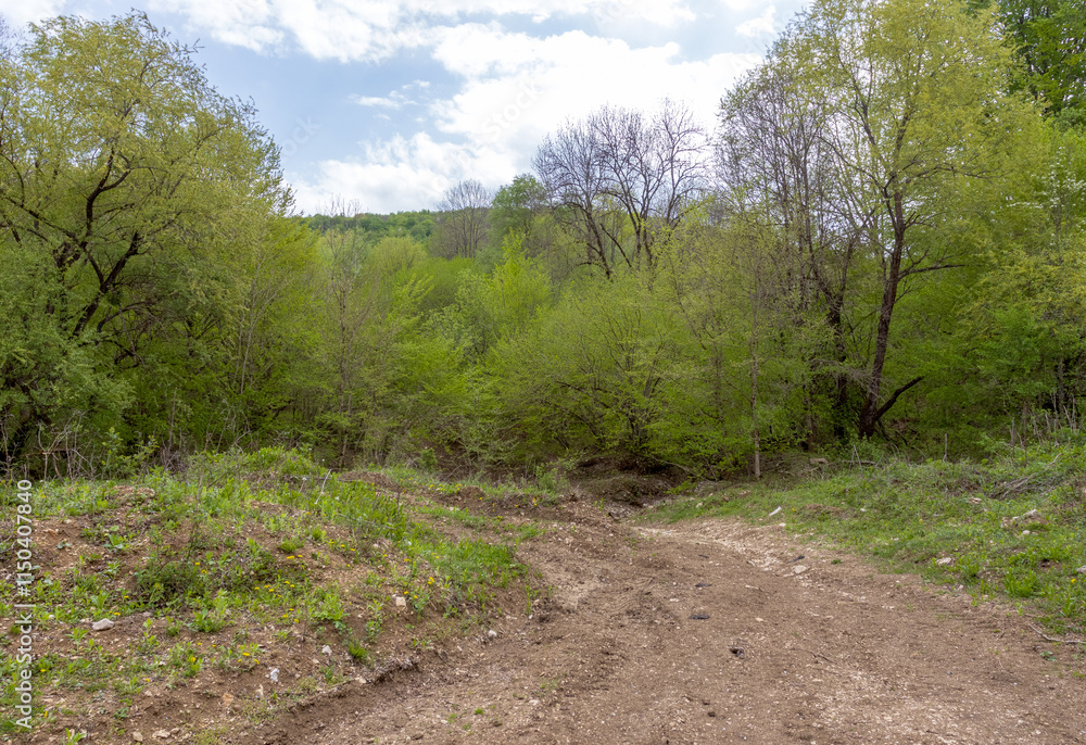 a dirt road leading to the development of a stone quarry in autumn, a quarry for the extraction of building materials a dirt road leading to the development of a stone quarry in autumn, a quarry for the extraction of building materials