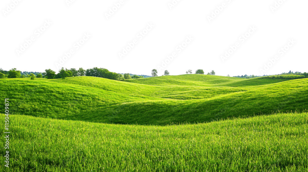 Fototapeta premium Green meadow landscape, transparent background