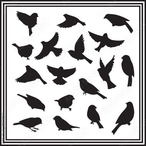 A big collection of oriole bird silhouette set, oriole silhouette logo isolated on white background.