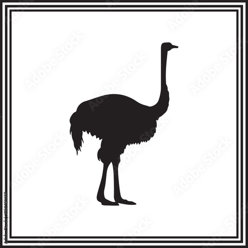 Ostrich silhouette illustration isolated on white background