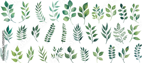 Green watercolor leaves on isolated background. Hand painted branches leaves, Eucalyptus leaves.
