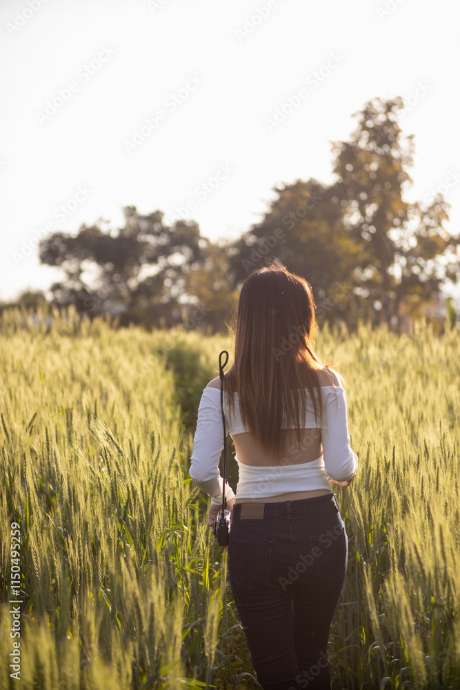 Asian woman walks alone in rice field in morning to see the beautiful scenery. woman travel journey through rice field to see the beautiful scenery of the rice field alone. Copy Space for text Asian woman walks alone in rice field in morning to see the beautiful scenery. woman travel journey through rice field to see the beautiful scenery of the rice field alone. Copy Space for text