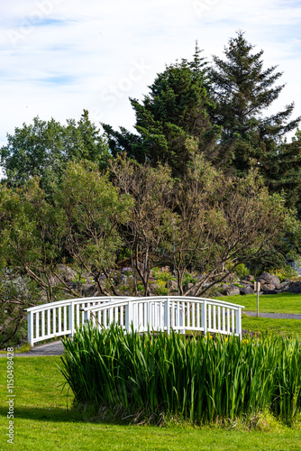 botanical garden in Reykjavik, Iceland photo