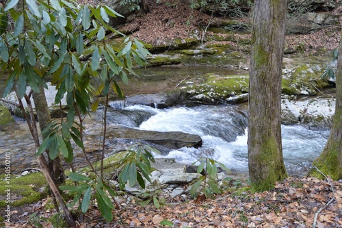 The Creek photo