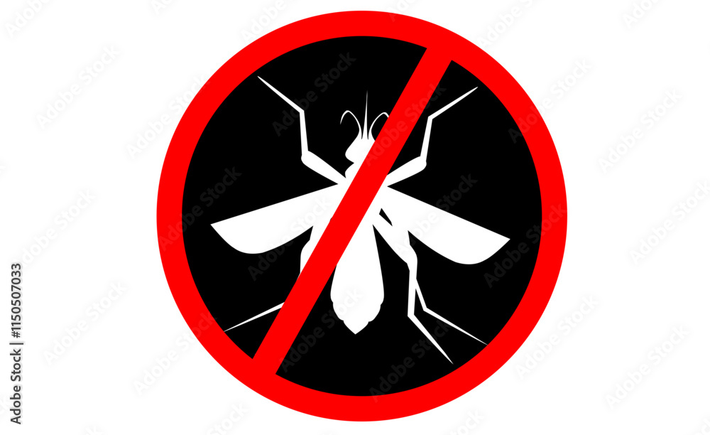 Foto No mosquito fly