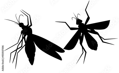 Black silhouettes of mosquito in different poses isolated on white background. Insect. Walks, flies, died. Vector realistic illustrations.Vector silhouettes of Mosquitoes pair, blood sucking insect. "