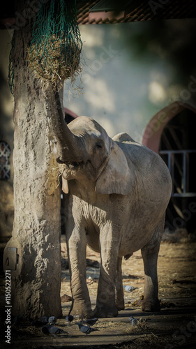 create me a LUT in a .cube file extension, based on the color grade from the attachment