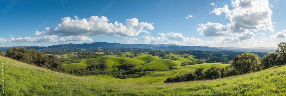 Fototapeta premium Panoramic view of lush green meadows beneath a clear blue sky with white fluffy clouds