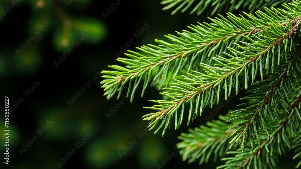 A closeup view of a fresh fir branch illuminated by a garland during summer capturing a natural and serene aesthetic