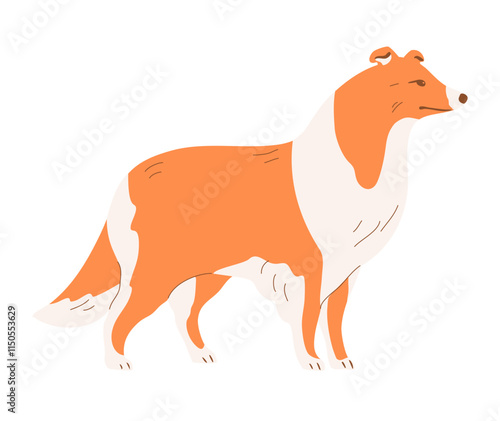 Scottish Shepherd Collie. A purebred dog with red fur. Pet friend. Flat vector illustration isolated on white background