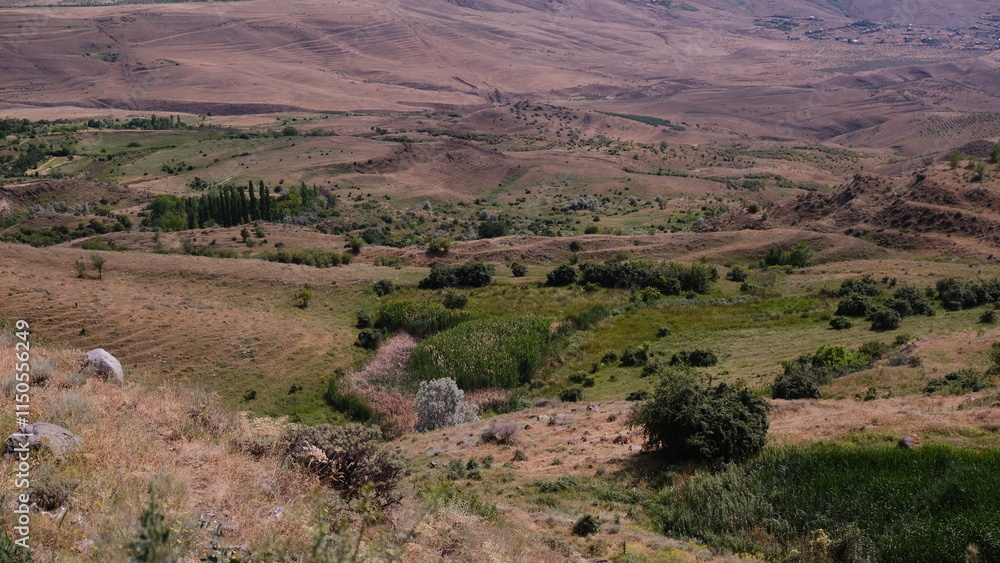A breathtaking panoramic view of a serene and peaceful landscape showcasing rolling hills and vibrant, lush greenery A breathtaking panoramic view of a serene and peaceful landscape showcasing rolling hills and vibrant, lush greenery