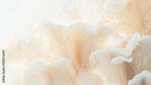 Botanical Illustration of Lion's Mane Mushrooms: Health-Focused Decor Featuring Unique Shapes and Textures