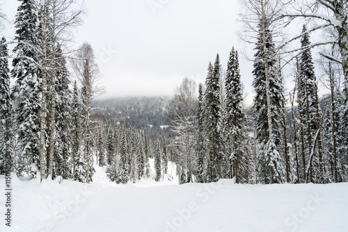 Empty ski slope in the middle of a forest in the mountains.