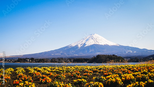 Ponto turístico Japão - Oishi Park - vista do monte Fuji com o lago Kawaguchi photo