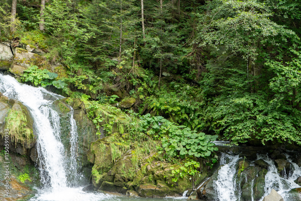 Mountain waterfall in the forest. Green nature. Lake water Summer river Mountain waterfall in the forest. Green nature. Lake water Summer river