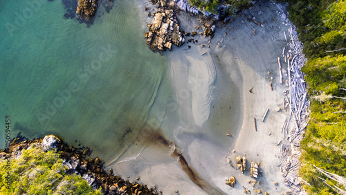 White sandy beach with dirftwood bleached white in the sun. Circling the beach a forest and small waves break from a calm ocean
