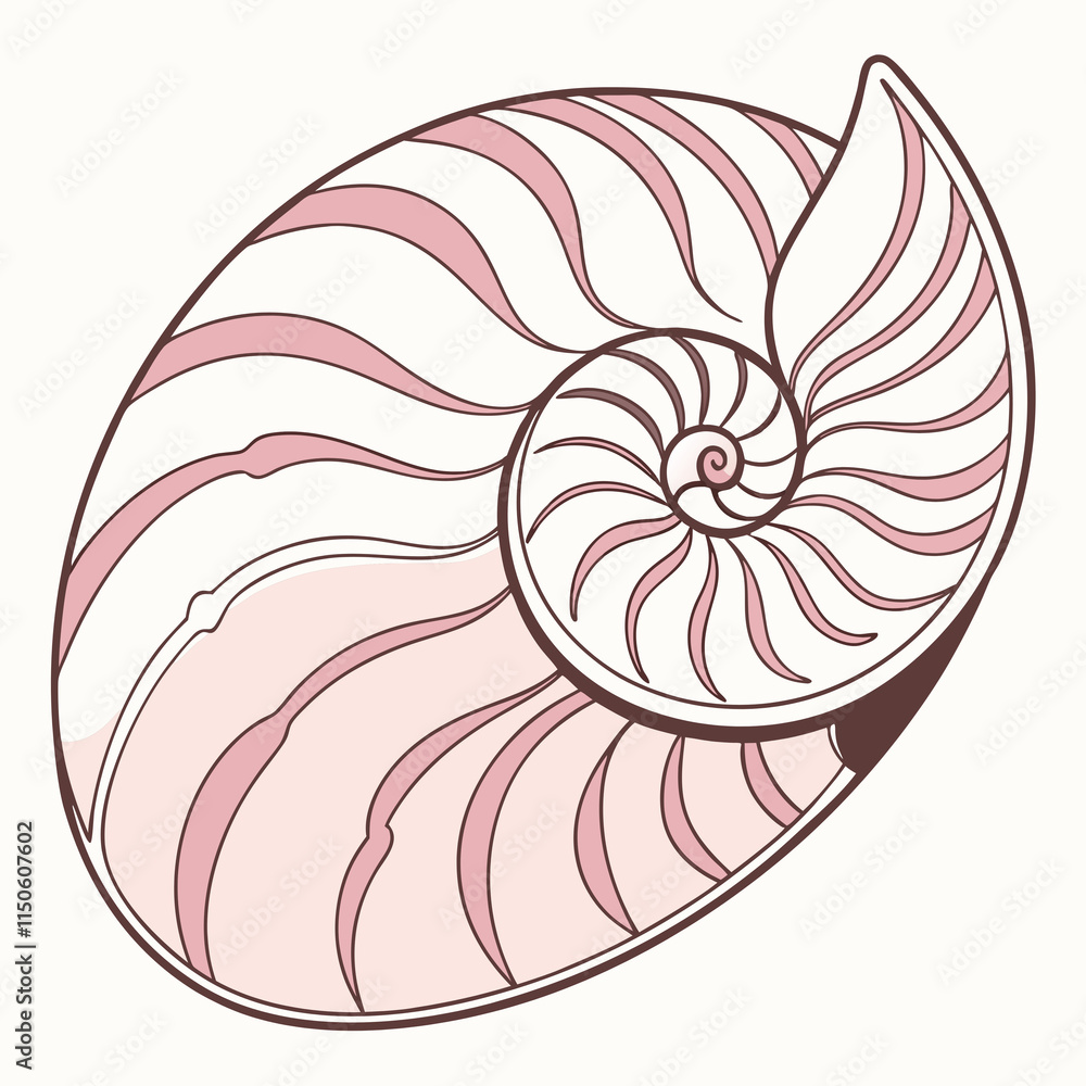 seashell seashell