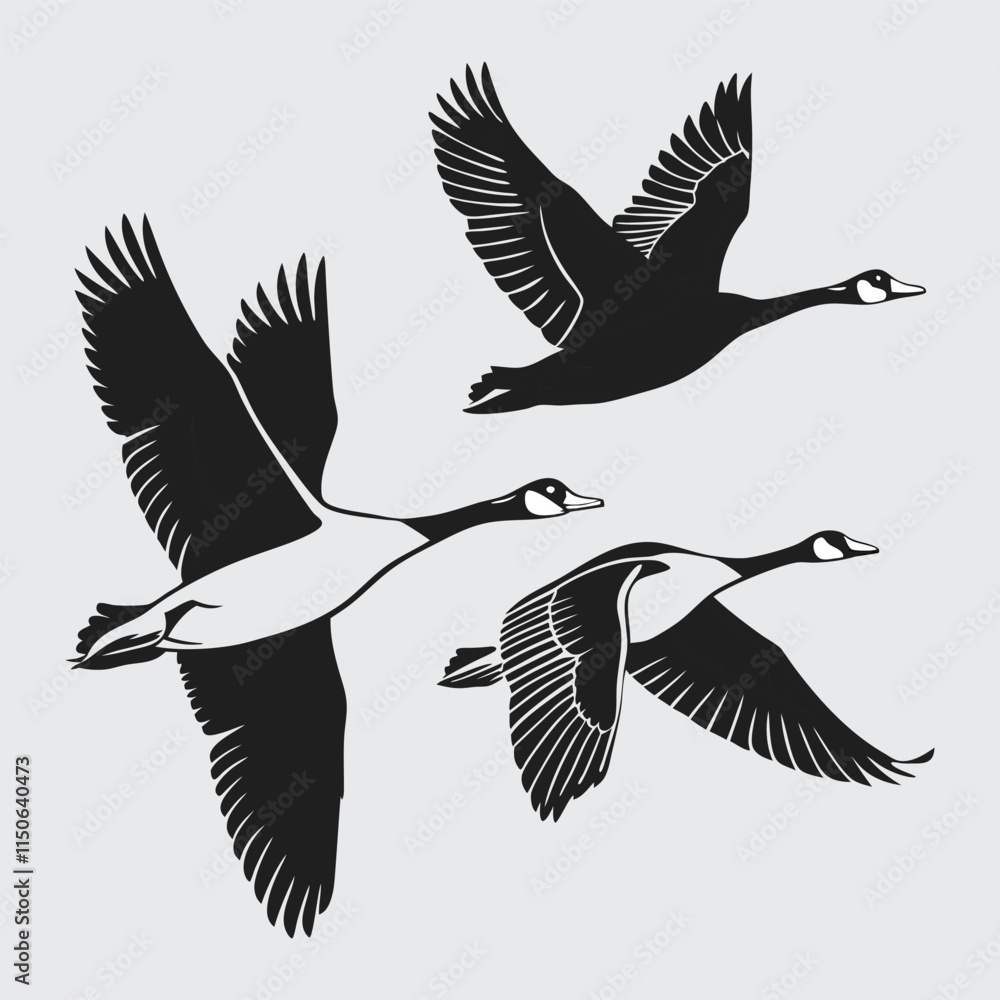 Geese image silhouette vector art and illustration Geese image silhouette vector art and illustration