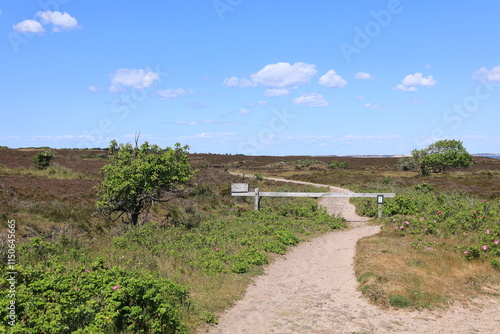 Blick auf die Braderuper Heide auf der Nordseeinsel Sylt	 photo