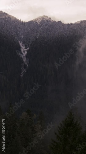 Mt Baker highway Whatcom County Washington fresh snow and fall leaves November 2024 on Mt Baker Highway near ski area 1080x1920 9x16 photo