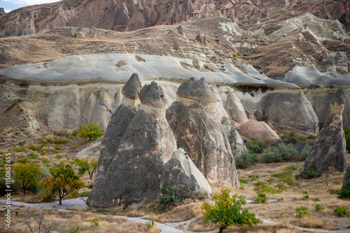 Obraz na płótnie Fairy Chimneys are world-famous natural formations located in the Cappadocia region of Turkey. They were formed by the wind and water erosion of volcanic tuff layers over thousands of years. w salonie