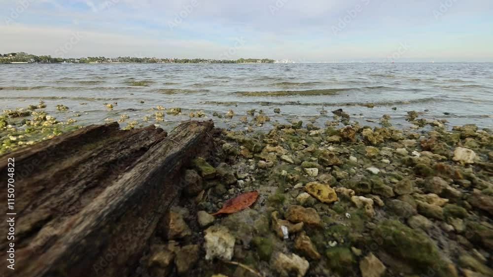 Rocks at the Shore Rocks at the Shore