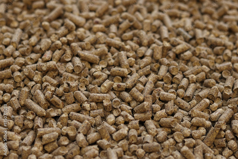 Wood filler for cat toilet, selective focus. Hygienic filler for pets. Pressed wood, large granules. Pellets. A pile of wood pellets. Filler for dogs, cats, domestic rodents Wood filler for cat toilet, selective focus. Hygienic filler for pets. Pressed wood, large granules. Pellets. A pile of wood pellets. Filler for dogs, cats, domestic rodents
