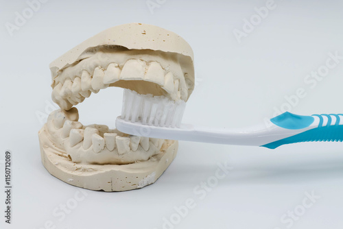 Images Of Dental Impressions, Floss, and Toothbrush For Oral Health National Dentists Day