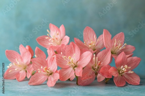 Beautiful pink flowers arranged against a bright blue background for a fresh ...