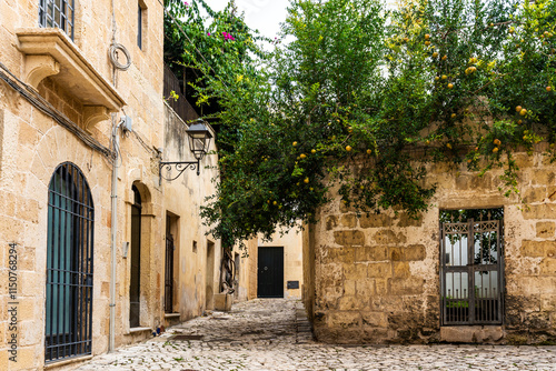 A picturesque alley with a pomegranate tree in historical center of Otranto province of Lecce, Salento area, Puglia region, Italy photo