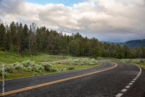 scenic drive through yellowstone national park with pine trees and clouds on a perfect summer day with clouds in the sky