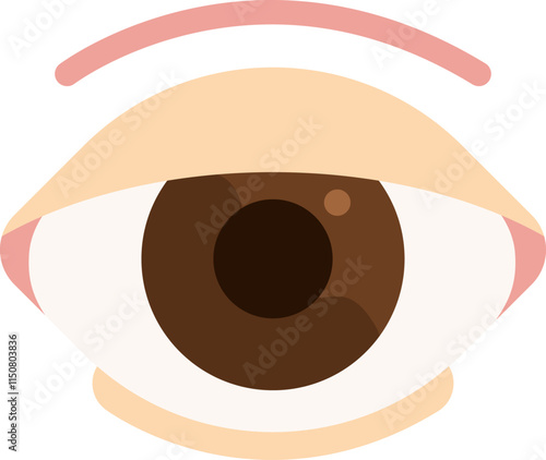 double eyelid surgery blepharoplasty plastic surgery