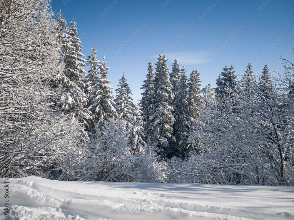Winter landscape of Vitosha Mountain, Bulgaria Winter landscape of Vitosha Mountain, Bulgaria