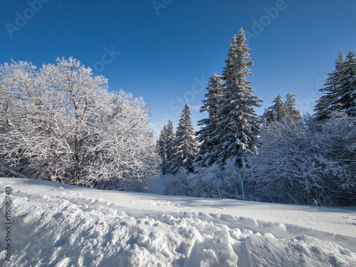 Wallpaper Mural Winter landscape of Vitosha Mountain, Bulgaria Torontodigital.ca