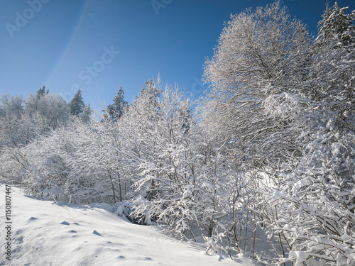 Winter landscape of Vitosha Mountain, Bulgaria photo