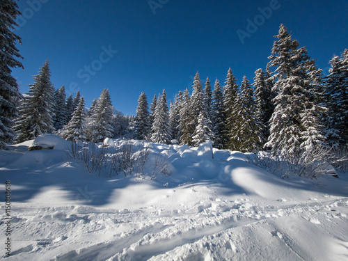 Winter landscape of Vitosha Mountain, Bulgaria photo