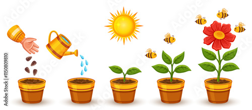 Flower plant growth stage, houseplant growing process, garden blooming herb life cycle icon set. Agriculture green sprout development phase. Botanical evolution from seedling to blossom sapling vector