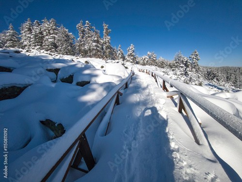 Winter landscape of Vitosha Mountain, Bulgaria photo