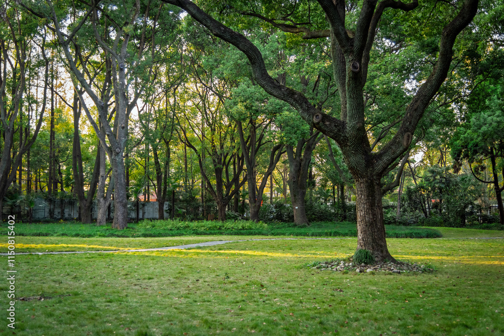 Obraz premium spring in the park