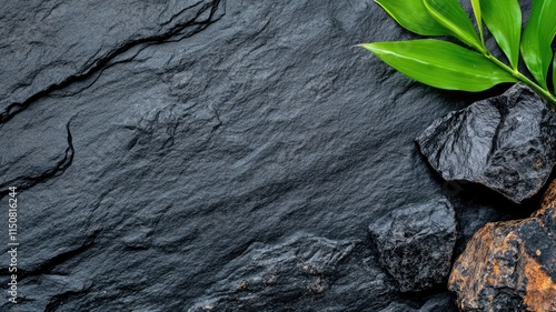 Textured black slate background with green leaves and rocks