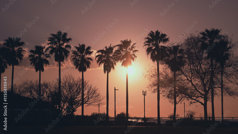 Obraz premium 袖ヶ浦海浜公園夕景