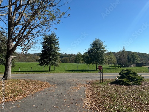 Autumn Road - Carroll County, VA photo