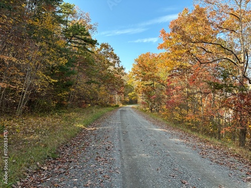 Gravel Road - Botetourt County, VA photo