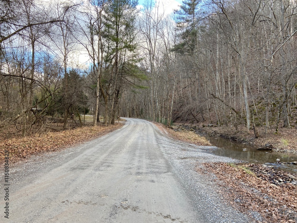 Fototapeta premium Gravel Road - Montgomery County, VA